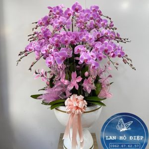 Sang Trọng - LHD015T