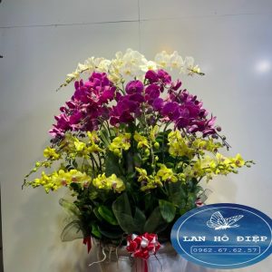 Mây và Núi - LHD017T