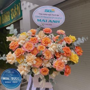 HG031 - Vươn Mình