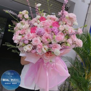 HB005 - Nắng Hồng